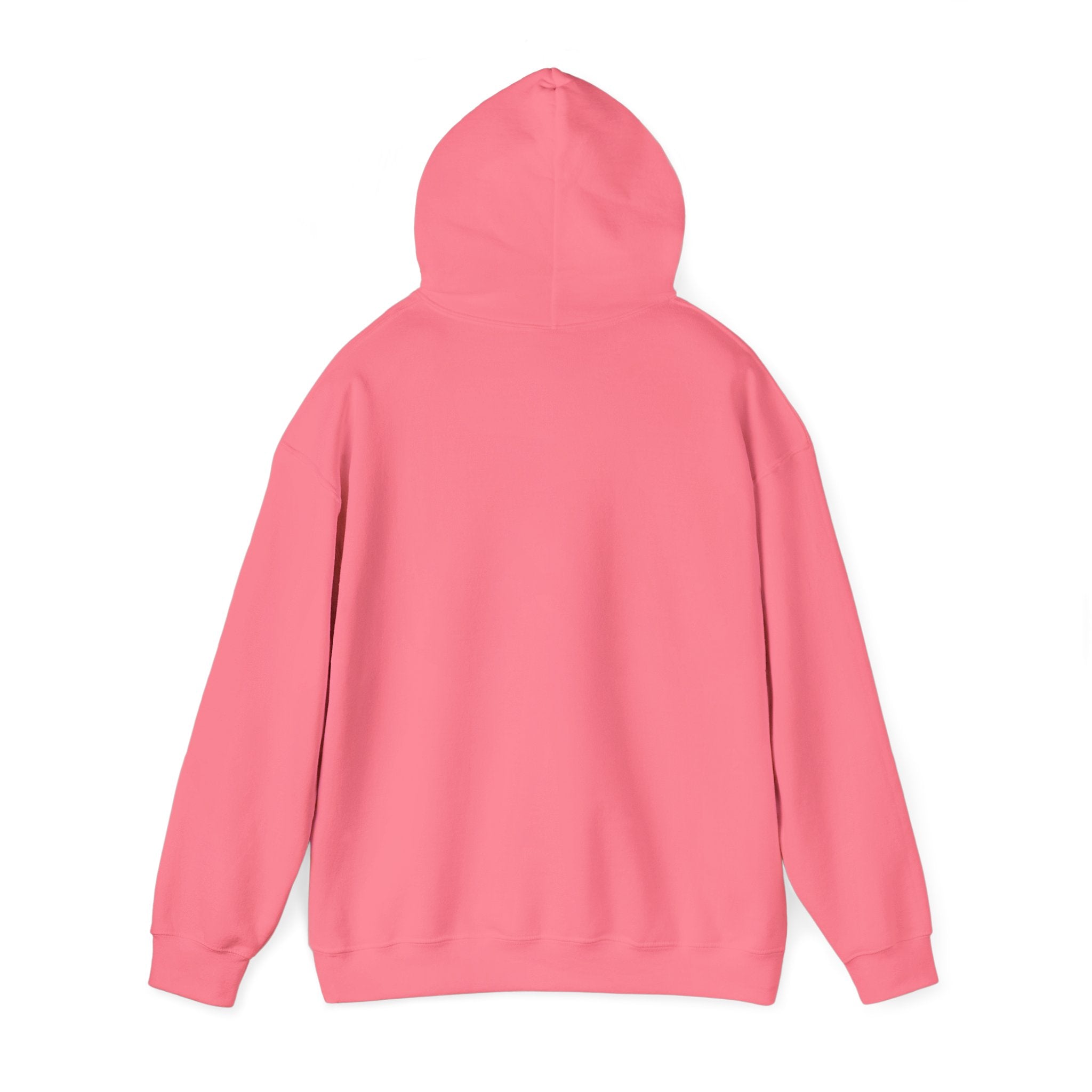 kurryreads logo hoodie