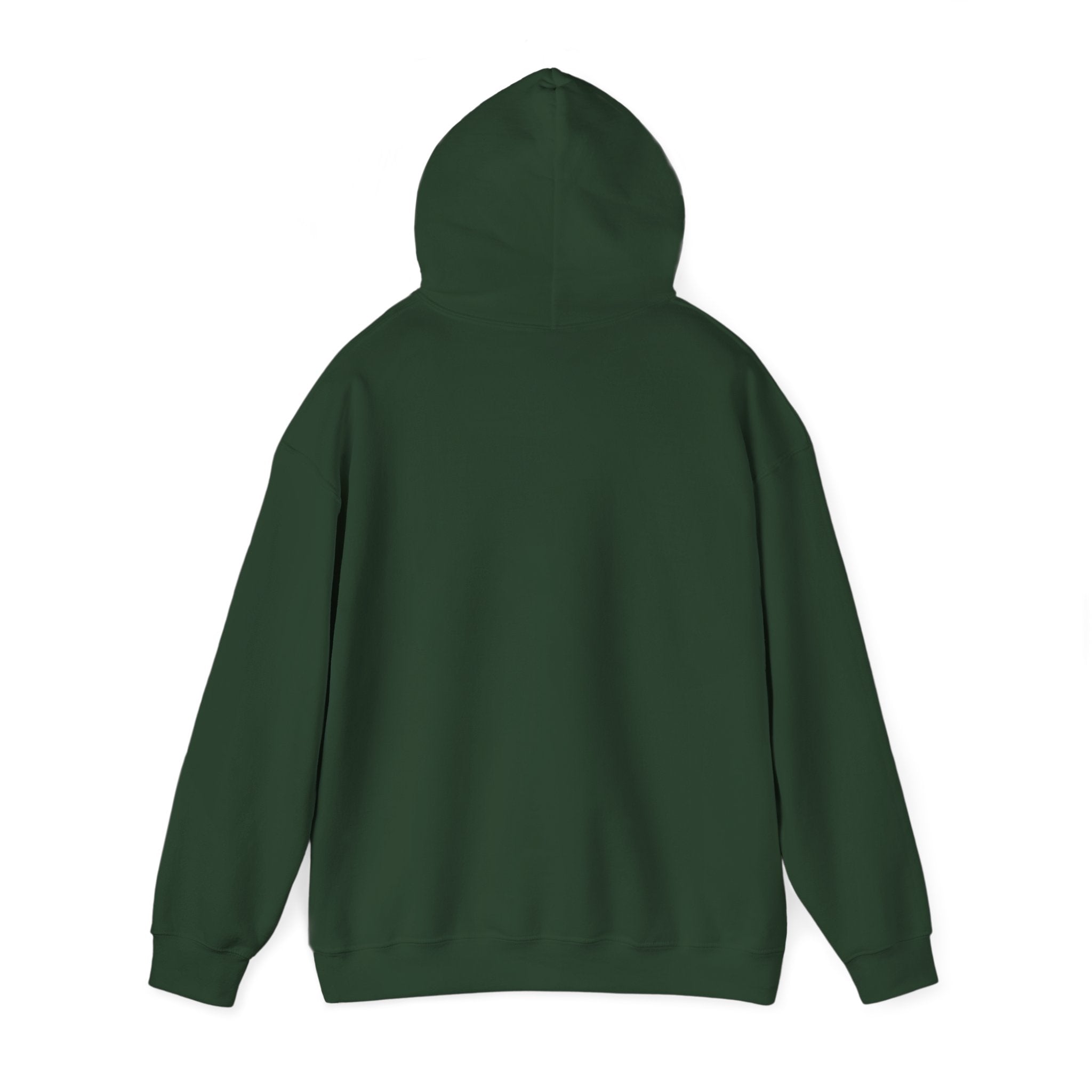 kurryreads logo hoodie