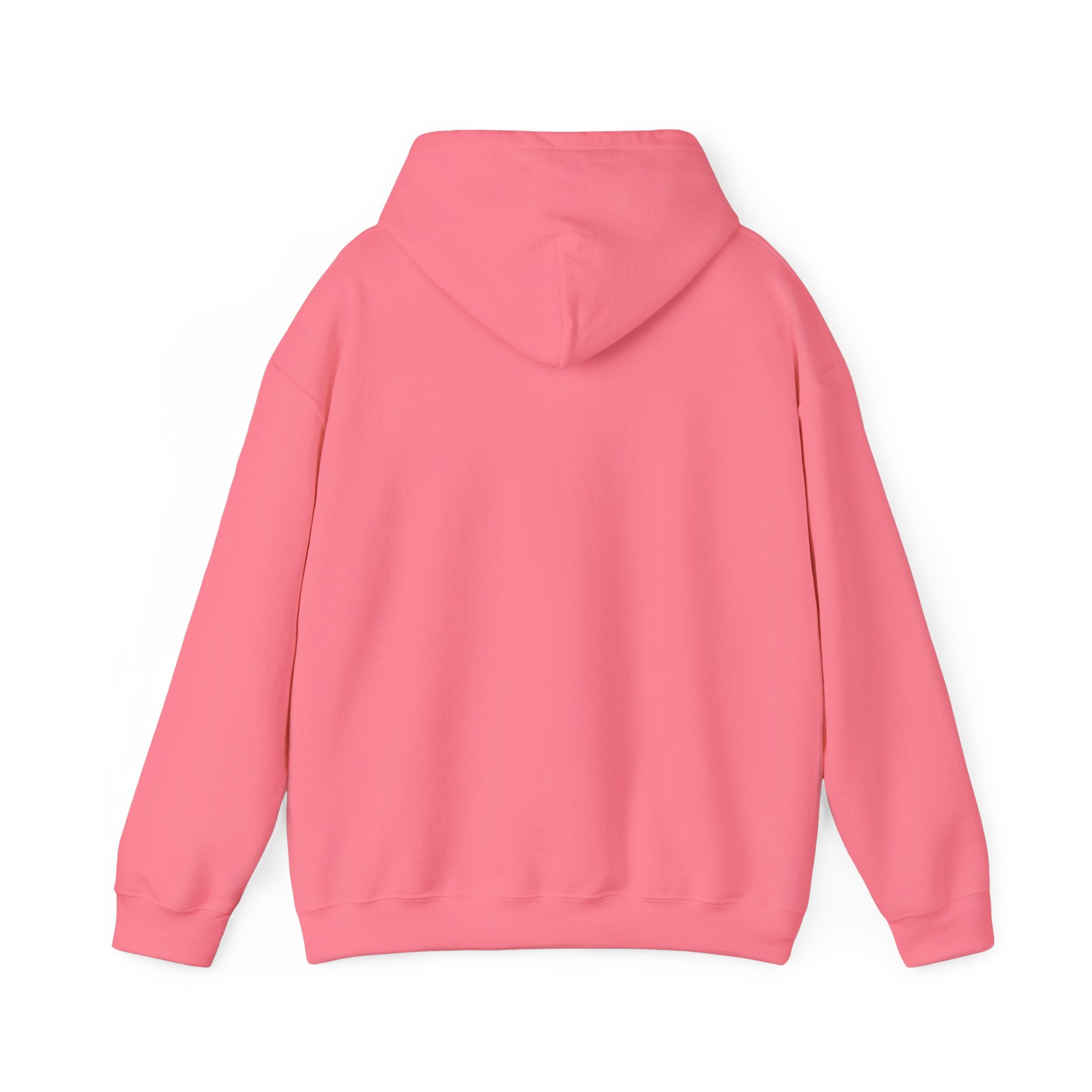 kurryreads logo hoodie